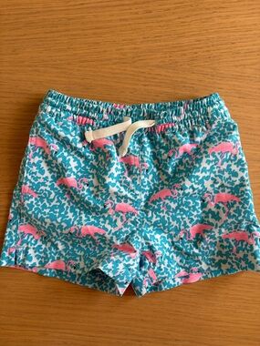 chubbies kids Pink Flamingo Swim Trunks - Turquoise - 2T